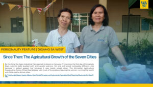 Since Then: The Agricultural Growth of the Seven Cities